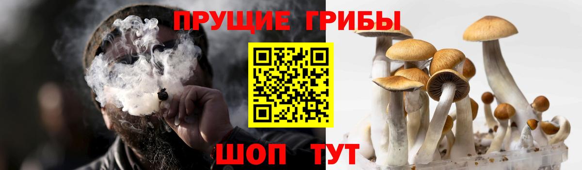 Псилоцибиновые грибы Cubensis  Псилоцибиновые грибы Magic Shrooms  Вход с VPN  Екатеринбург 